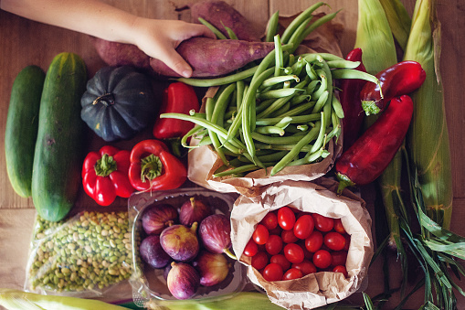 The Importance of Proper Nutrition and Fat loss